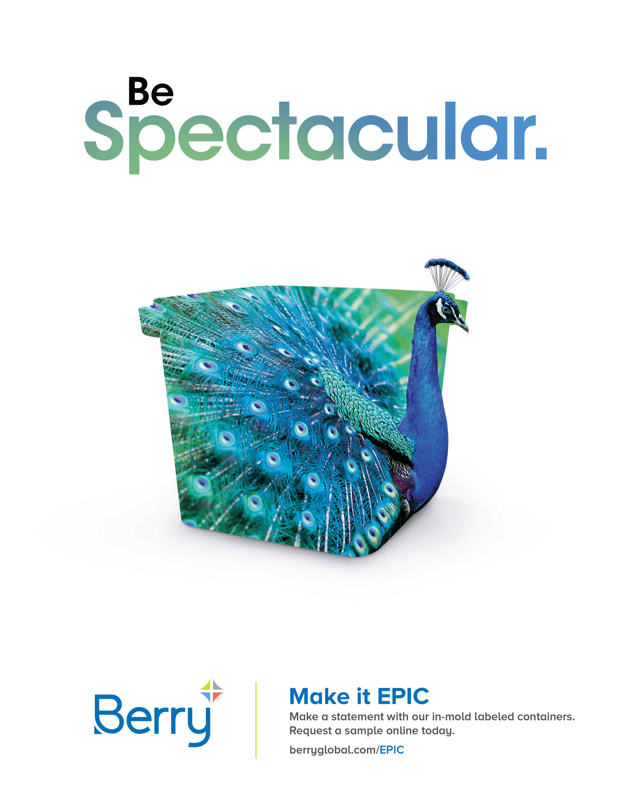 EPIC Brand Campaign 3